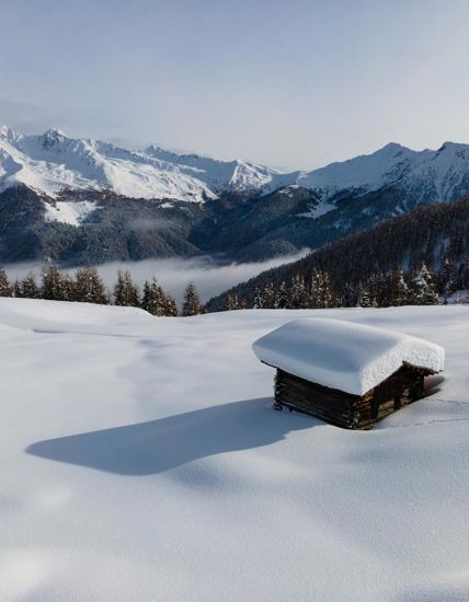 Winter panorama