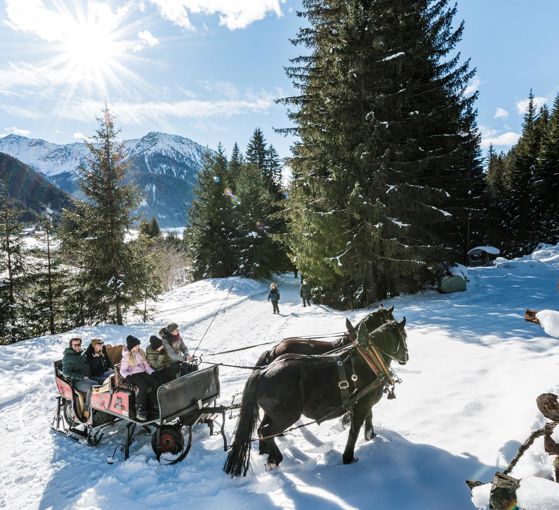 Una famiglia fa un giro sulla slitta trainata da cavalli