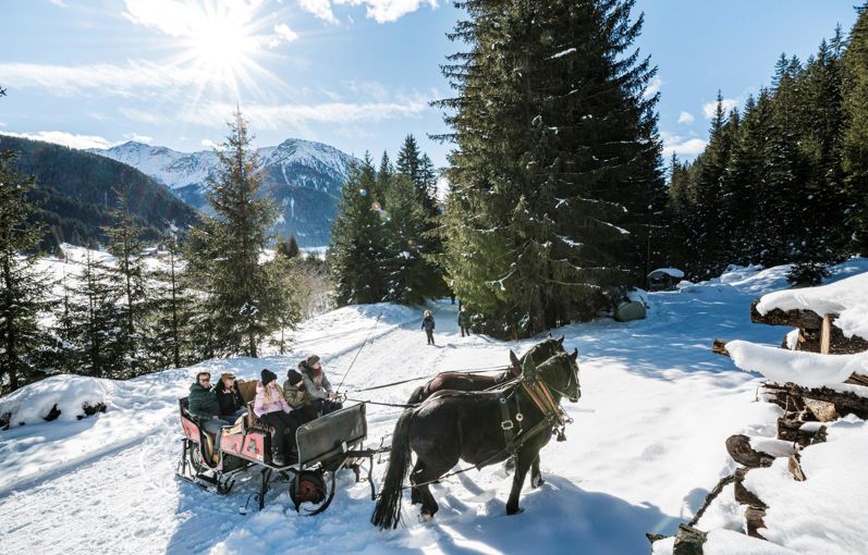 A family is riding a horse-drawn sledge