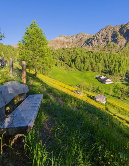 Eine Bank mit Ausblick