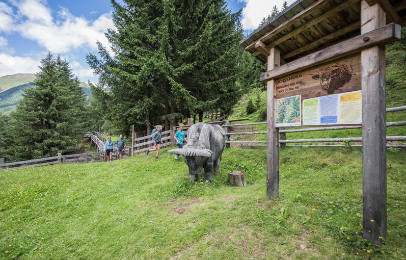 On the Way of the Ox