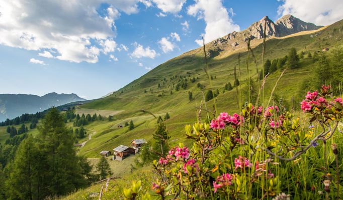 Summer in Val Casies/Gsiesertal valley