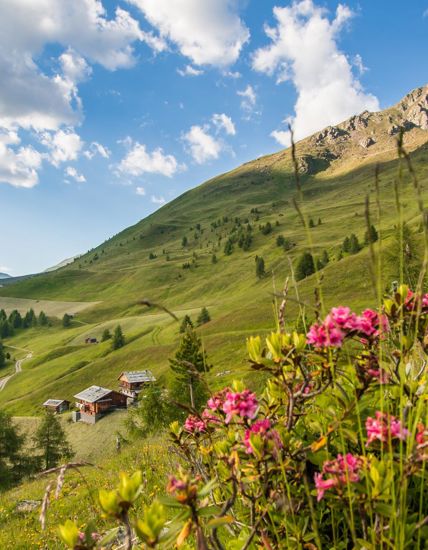 Sommer im Gsiesertal