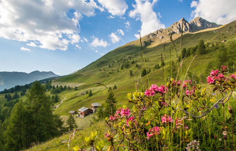 Summer in Val Casies/Gsiesertal valley
