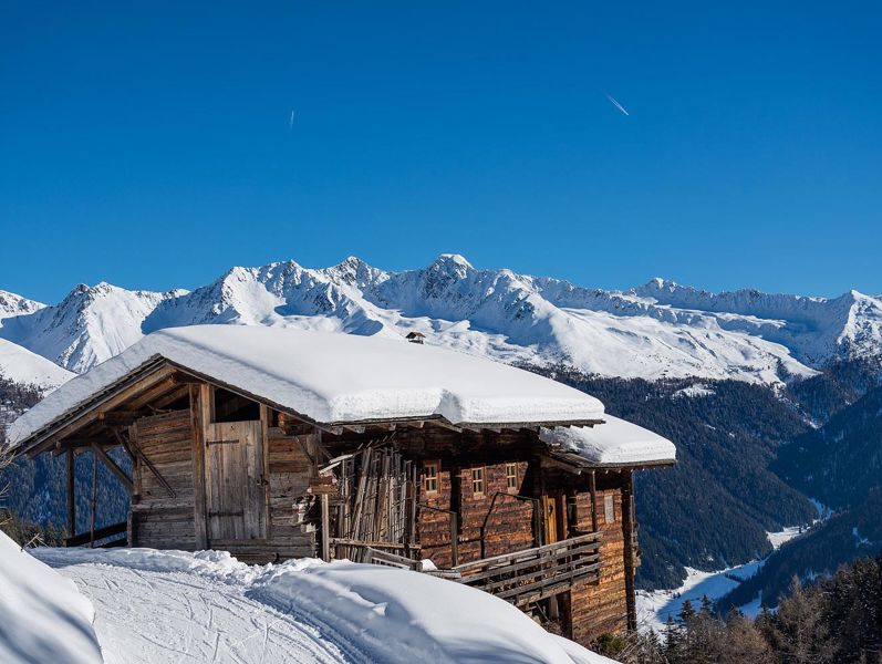 Winter panorama