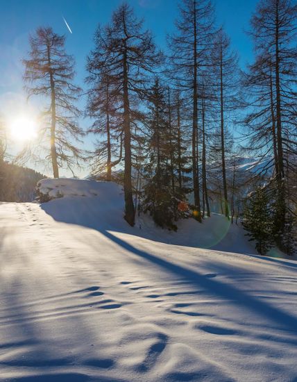 landschaft-gsies-tg-gsiesertal-georg-hofer-3