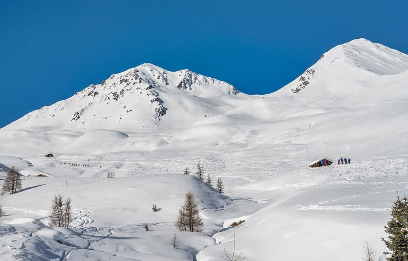 Almenwanderungen im Winter