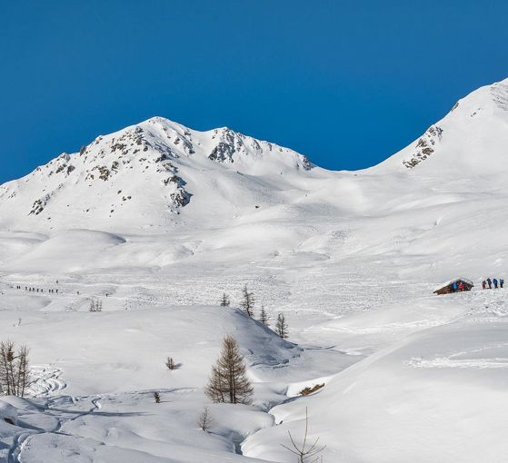 Alpine pasture hikes in winter