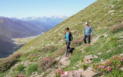 -wisthaler-25-06-tv-gsies-hw64113