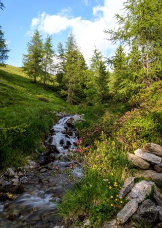 almlandschaft-gsies-tv-gsieser-tal-georg-hofer-31