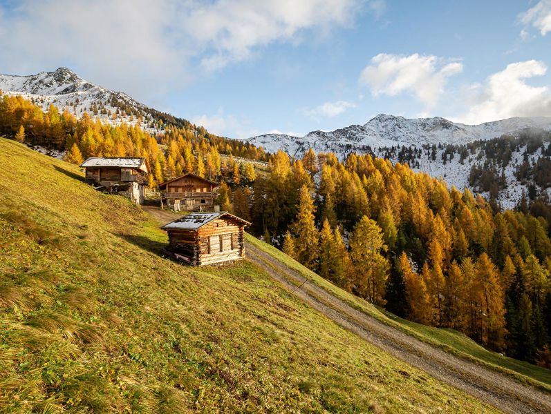 A mountain pasture in autumn