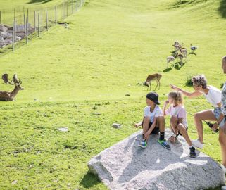 Erlebniswelt Assling mit Wildpark