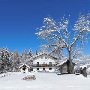 Lettnerhof