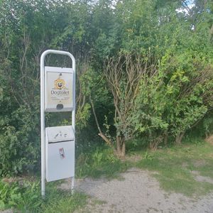 Toilette per cani