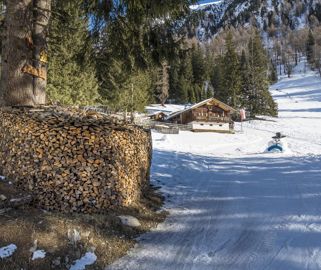 Kradorfer Alm 1704 m