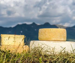 Cheese dairy Waldsamerhof