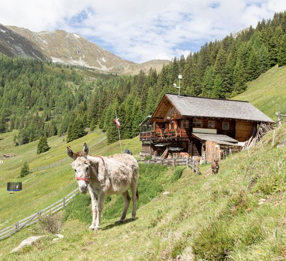 Malga Aschtalm  1950 m