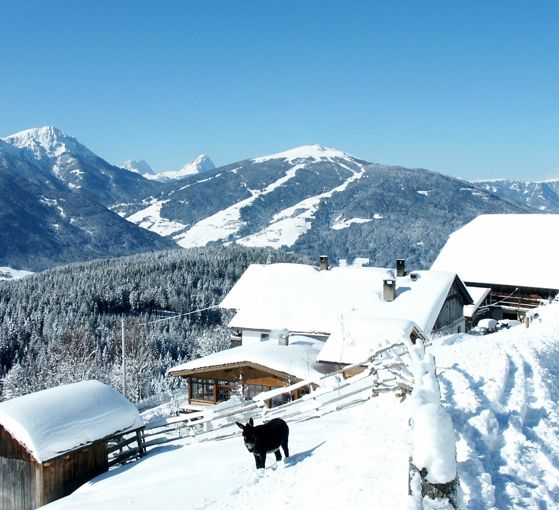 Maso panoramico di montagna Mudler Hof