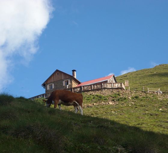 Schutzhaus Bonner Hütte 2340 m