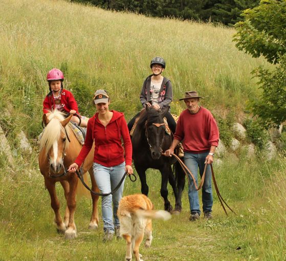 Riding stable Sun Ranch Sonnenhof