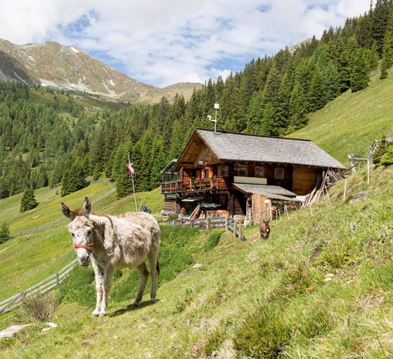 Malga Aschtalm  1950 m