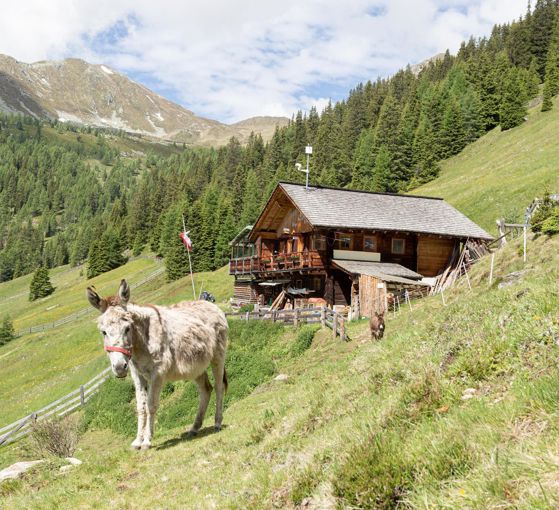 Malga Aschtalm 1950 m