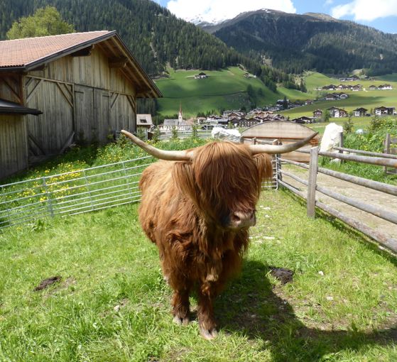 Parco faunistico Reierhof