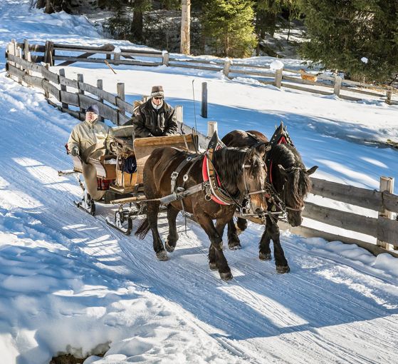 Horse-drawn sleigh ride